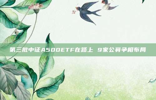 第三批中证A500ETF在路上 9家公募争相布局