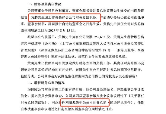 换帅如换刀！延江股份迎宝洁系运营+财务全才，百强企业4国布局，营收猛增38.59%，加速全球产业布局 第2张