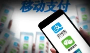 支付宝变更为无实际控制人 (专业版介绍)