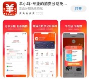 羊小咩购物额度买商品变现怎么弄的,可靠吗?是否有合规买卖商品的方法?