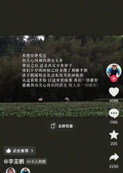李亚鹏与海哈金喜离婚：背后的生活窘境与情感交织