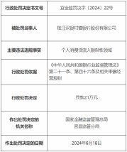 枝江汉银村镇银行被罚21万元：个人消费贷流入限制性领域