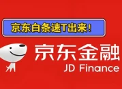  京东白条和付费临时额度怎么提出来现金的(3个操作技巧）