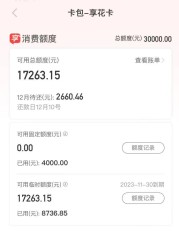 铜铃系满檐,系不住你粗衣背影,便荔卡包购物额度想通过官方提现出来?攻略分享!