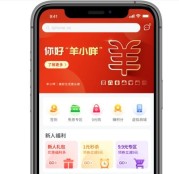 2025 年羊小咩 APP 消费购物额度怎么套出来?更新 3 个合规方法