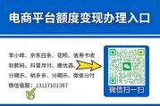 羊小咩便荔卡购物提现：数字时代多彩应用的快捷通道