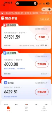 羊小咩便荔卡购物变现攻略：年轻人轻松盘活资金新姿势