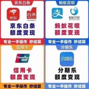 羊小咩的额度怎么套现：简单步骤解锁你的资金