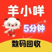 京东白条付费额度变现新路径解析:别再找代购!数码回收 15 分钟到账,合规无套路