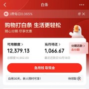 京东白条提额度的方法，轻松享受购物新体验