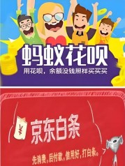 花呗 VS 京东白条终极指南：额度、场景、信用影响全解析，这样选省心又省钱！