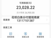 年蚂蚁花呗提现方法全攻略：2024最新实用技巧