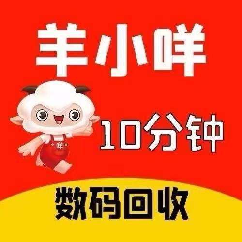 羊小咩便荔卡提现秒到账攻略：轻松套出现金的实用指南