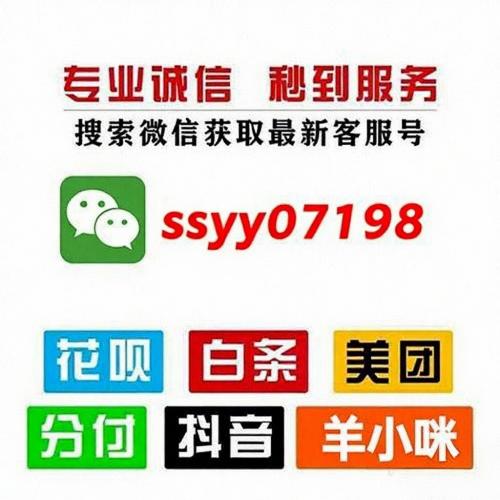 京东白条付费额度变现新路径解析 京东白条 京东 白条 第1张