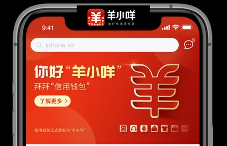 便荔卡秒到账攻略：羊小咩购物商城5个额度变现技巧 第1张