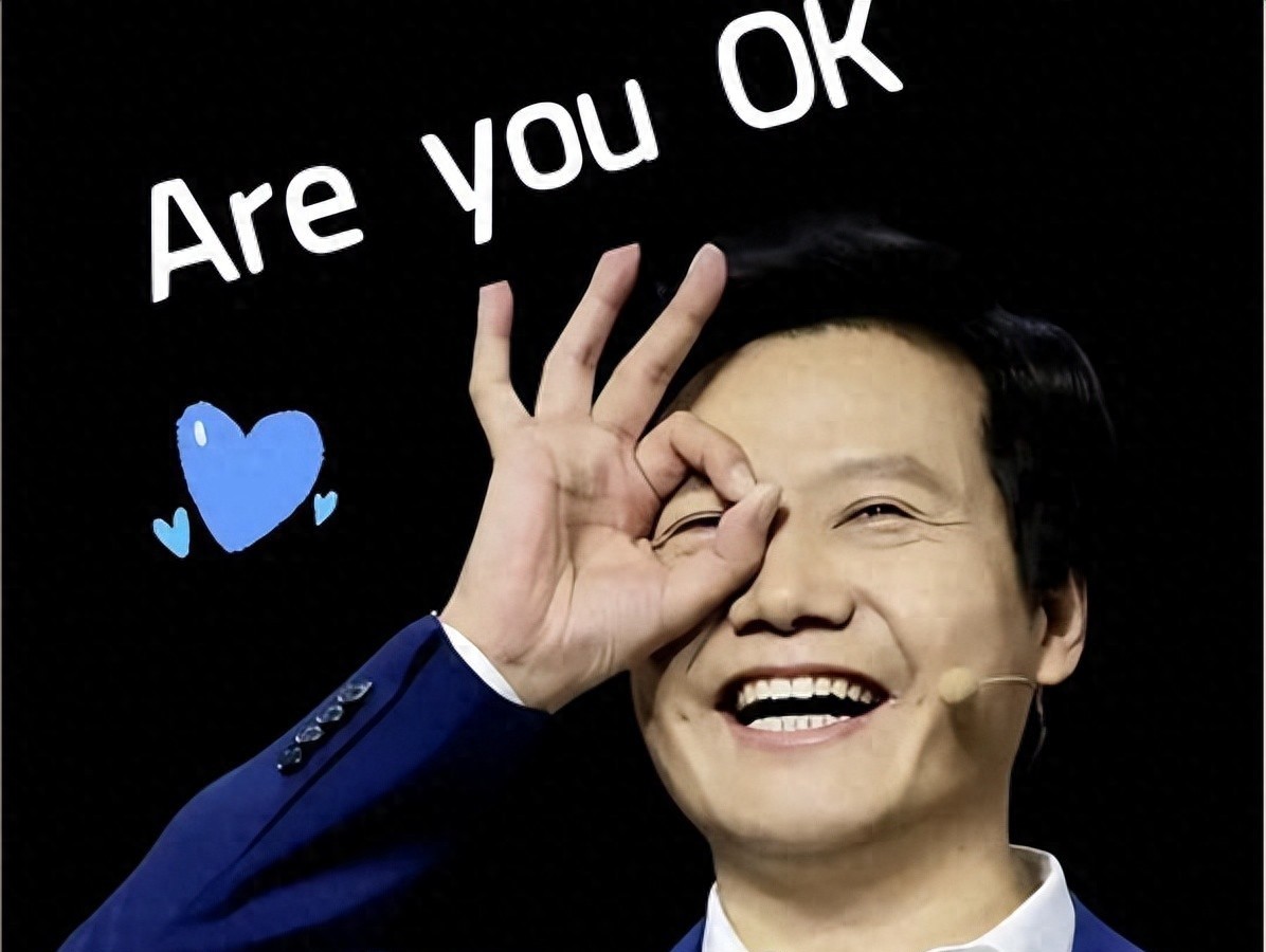 十年神话破灭：雷军为何从宠儿到被质疑？ 热点话题 第1张