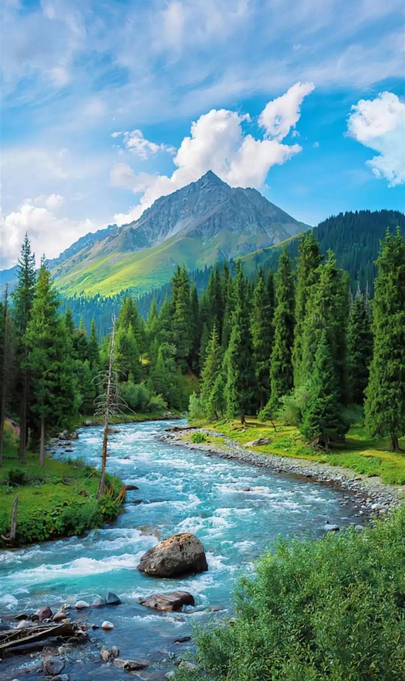 u=269587204,3994517811&fm=253&app=138&f=JPEG.jpg u=269587204,3994517811&fm=253&app=138&f=JPEG.jpg