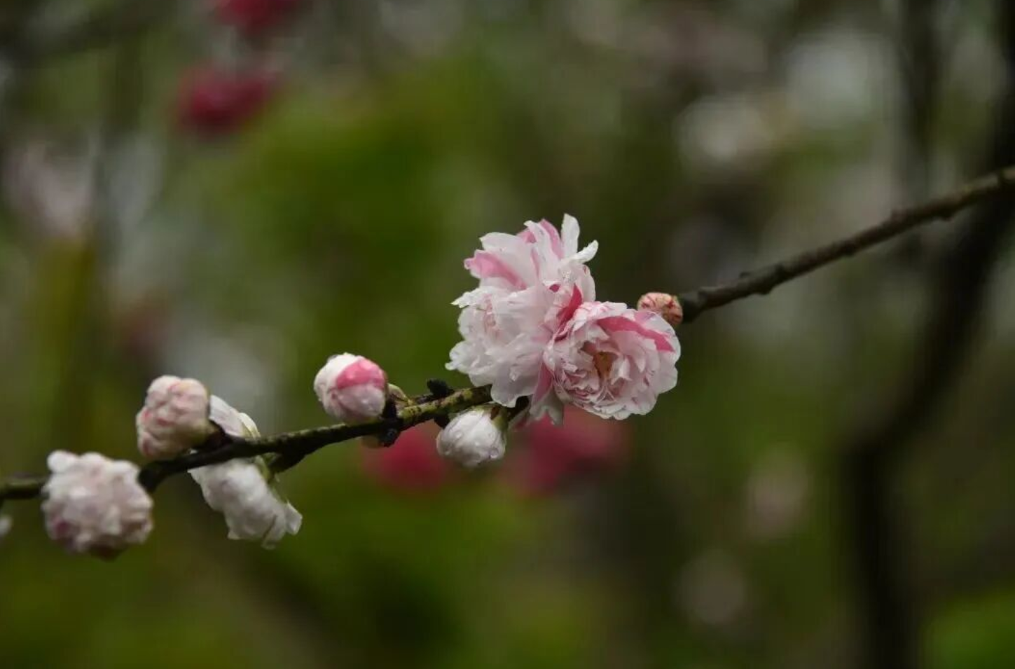 20cfbc8c-3e9e-4072-b38b-c8f19b7c8132.png 20cfbc8c-3e9e-4072-b38b-c8f19b7c8132.png