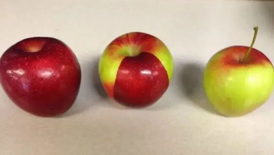 8c74f6eb-5683-402f-9ba4-2957c6dd6f31.png 8c74f6eb-5683-402f-9ba4-2957c6dd6f31.png