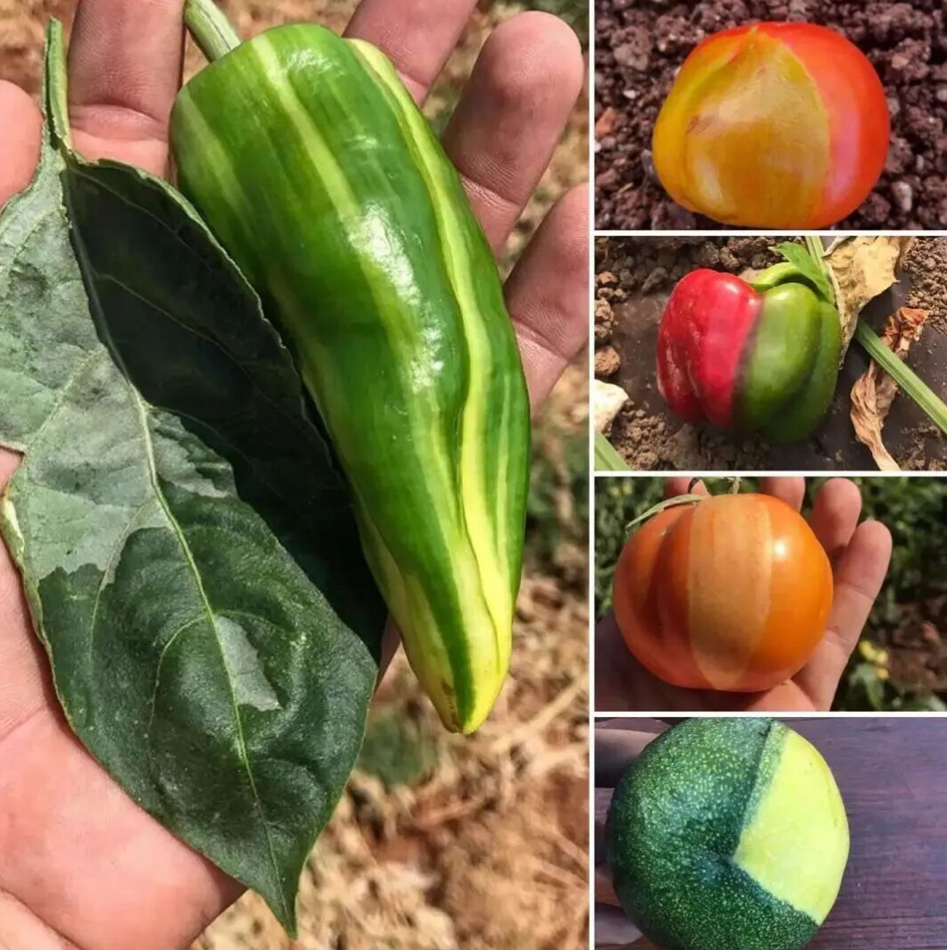 a58ccc1d-a1c3-48c7-9b6e-4daf15be401c.png a58ccc1d-a1c3-48c7-9b6e-4daf15be401c.png