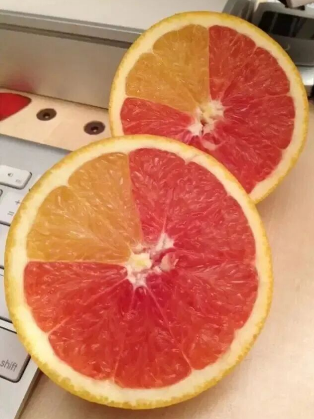 7344083c-d760-4feb-a006-f4d0d0be6164.png 7344083c-d760-4feb-a006-f4d0d0be6164.png