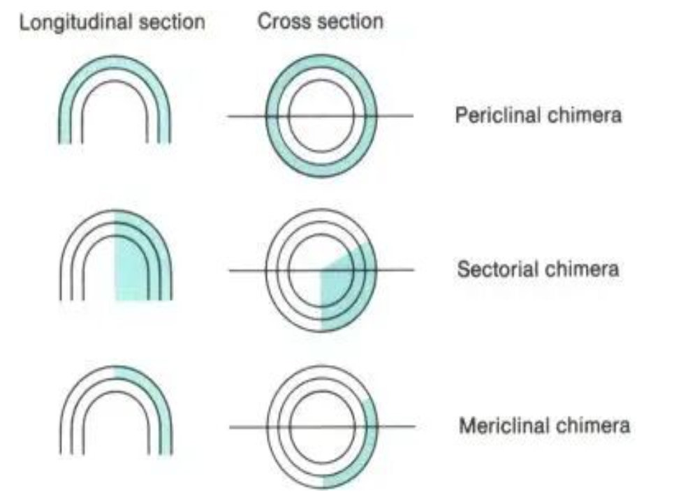 542b1133-227a-4b54-8878-c81cf46f6293.png 542b1133-227a-4b54-8878-c81cf46f6293.png