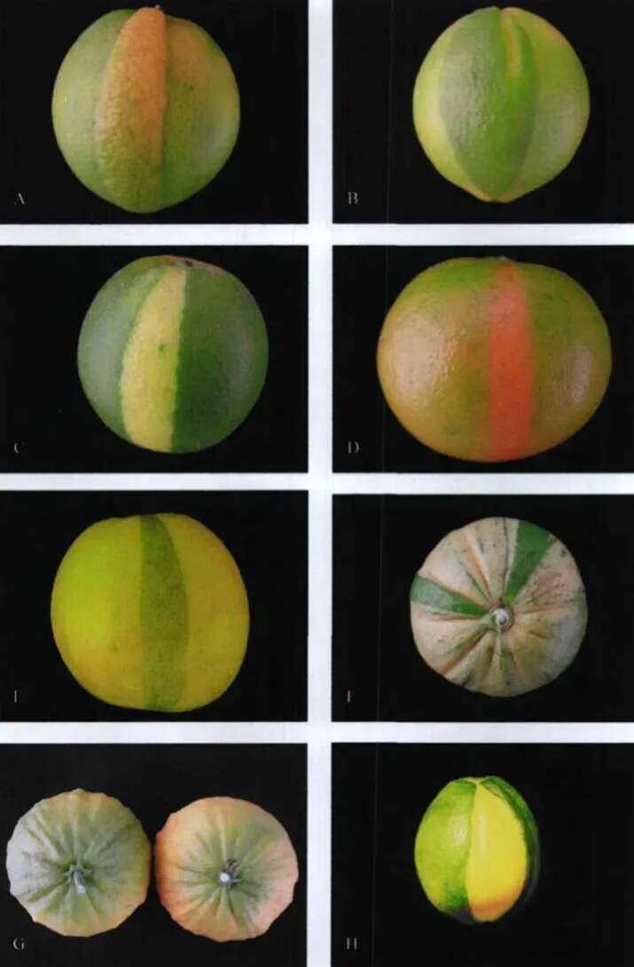 ee3a8dab-0587-4a9a-9b64-569426b372d3.png ee3a8dab-0587-4a9a-9b64-569426b372d3.png