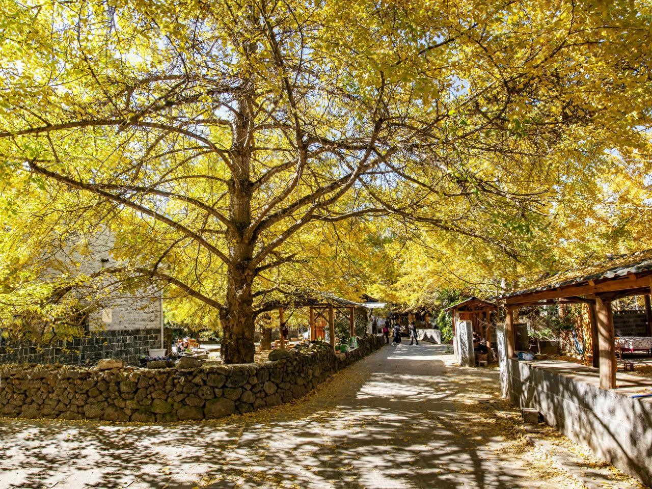 ~tplv-tt-origin-web_gif.jpeg ~tplv-tt-origin-web_gif.jpeg