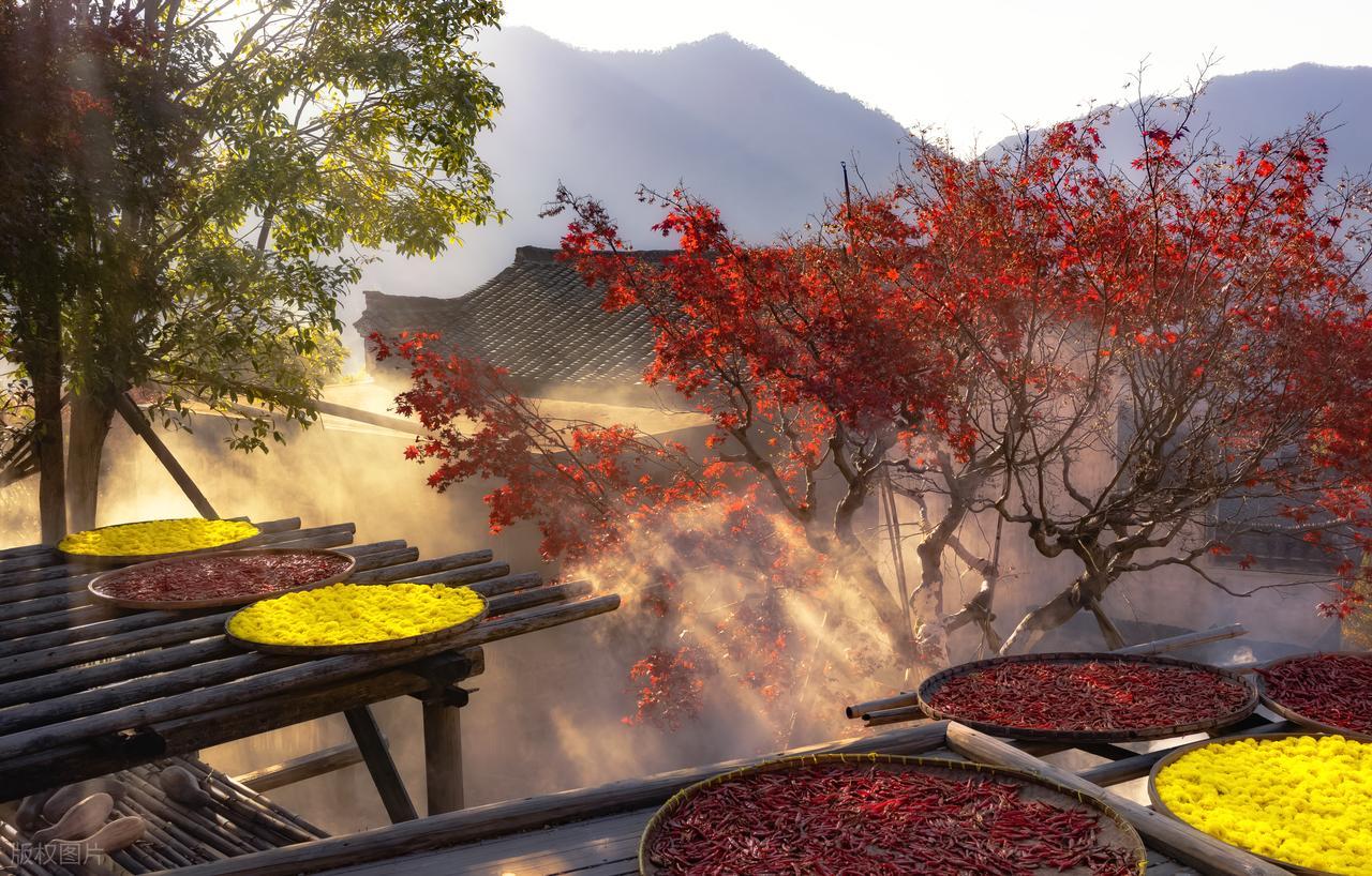 eb_gif.jpeg eb_gif.jpeg