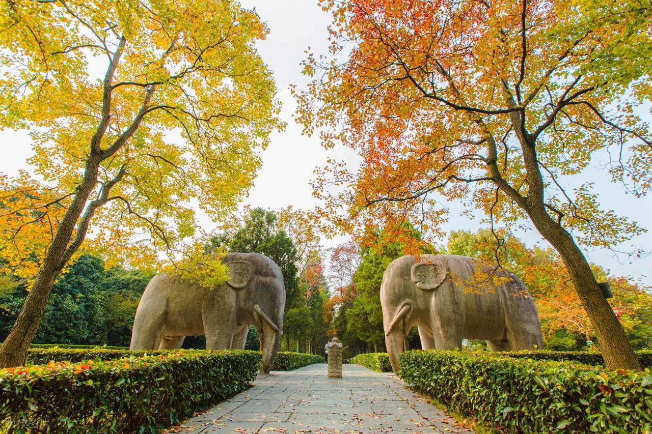 eb_gif.jpeg eb_gif.jpeg