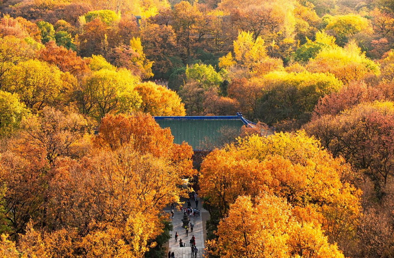 eb_gif.jpeg eb_gif.jpeg