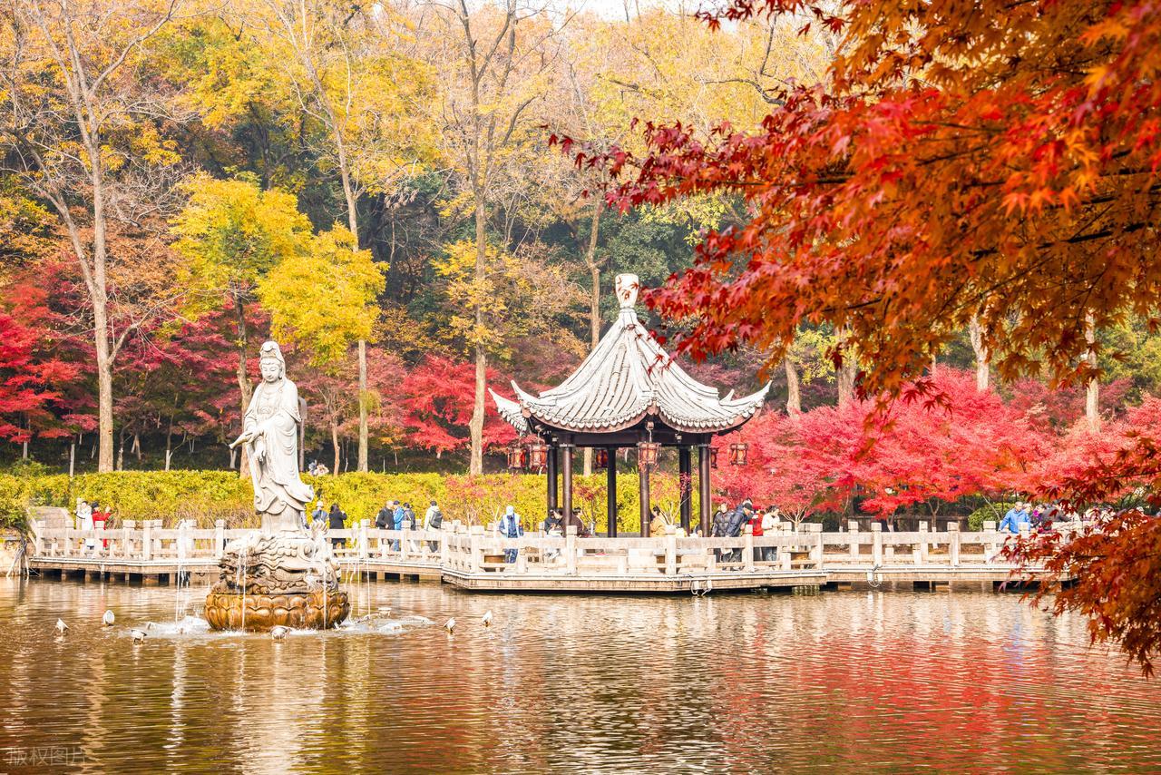 rigin-web_gif.jpeg rigin-web_gif.jpeg