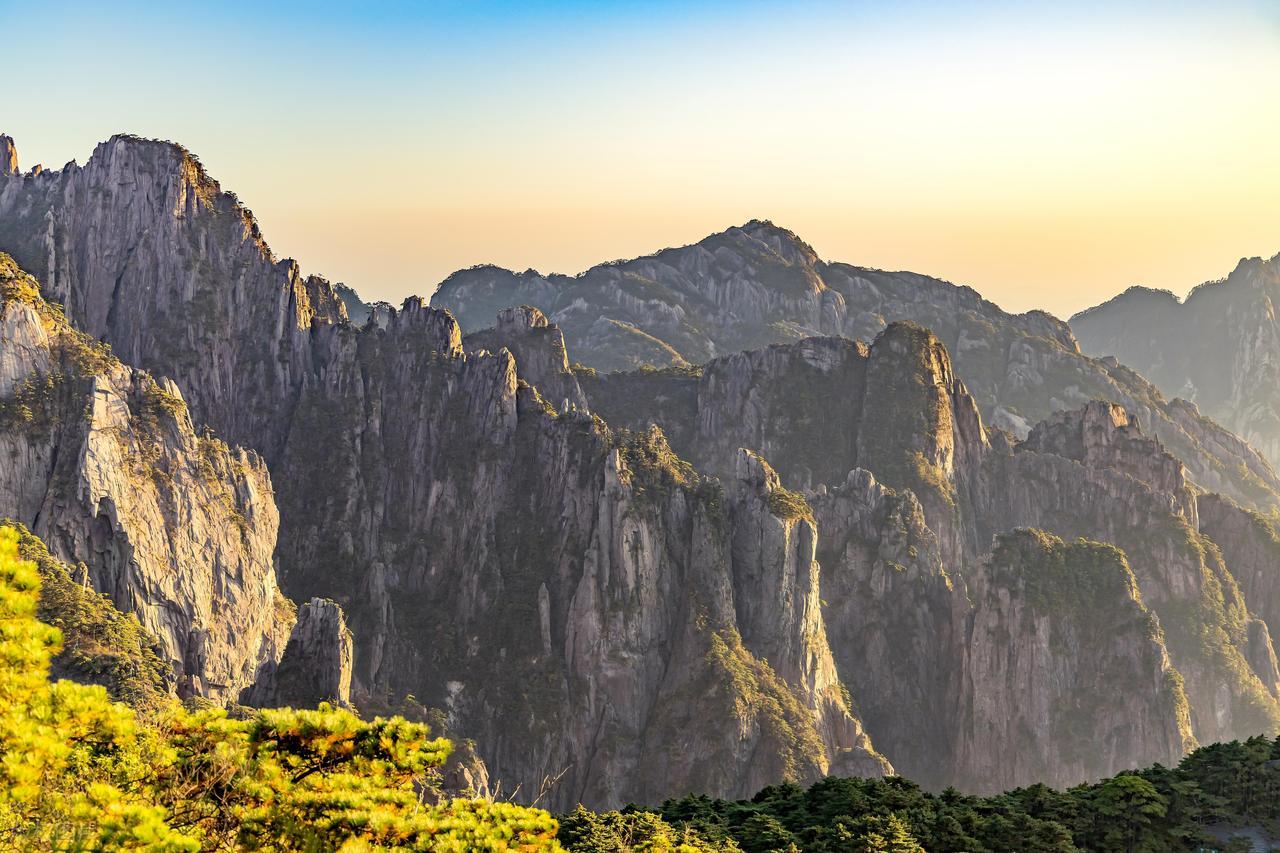 rigin-web_gif.jpeg rigin-web_gif.jpeg