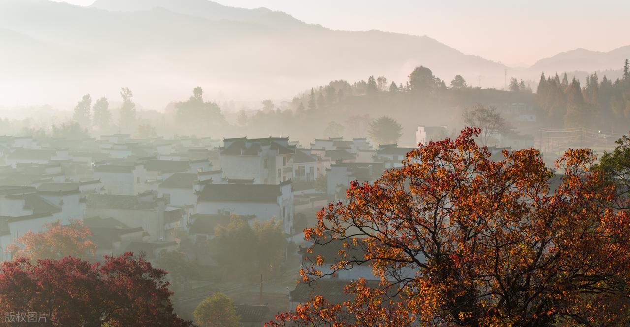 1-web_gif.jpeg 1-web_gif.jpeg