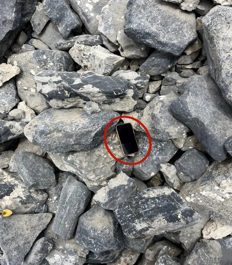 d7573559-dde8-4352-b381-1506b012aa72.png d7573559-dde8-4352-b381-1506b012aa72.png