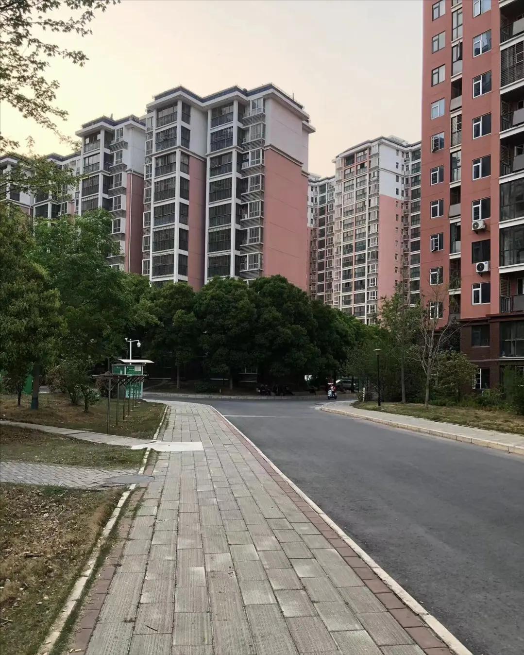 关于房子，此时不买，来年“买不起”或“大降价”？专家已经回答了