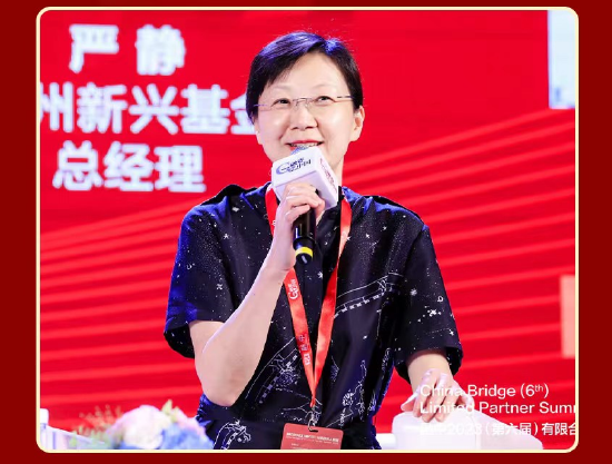 广州新兴基金总经理严静：3.0时代自己组建纯市场化的S基金 第1张