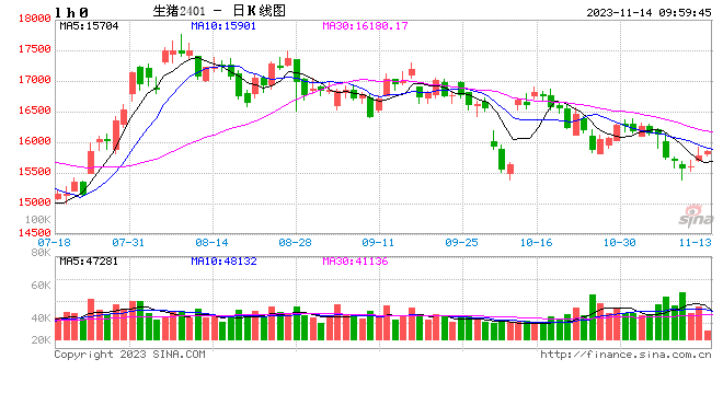 卓创资讯：11月上旬猪价偏弱运行 月底或有回暖预期 第1张