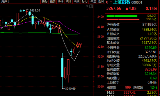 超20股涨停！A股这一板块，全线爆发！
