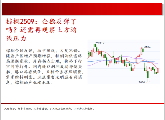 中天期货:橡胶均线之下震荡偏弱 纯碱继续回落 第13张